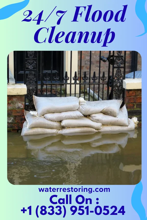 24/7 Flood Cleanup in Maxeys, GA