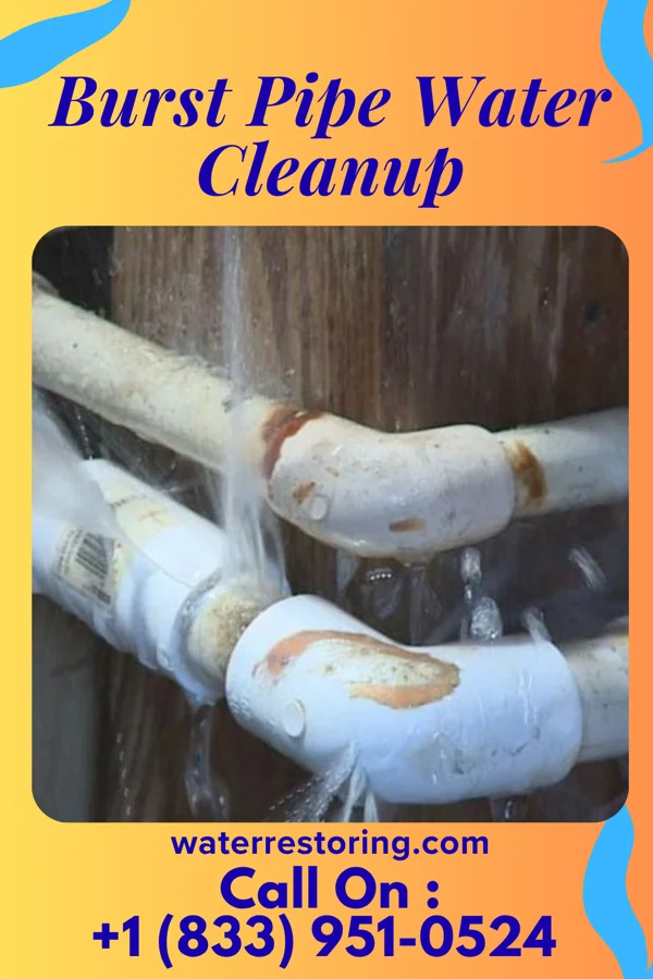 Burst Pipe Water Cleanup in Maxeys, GA