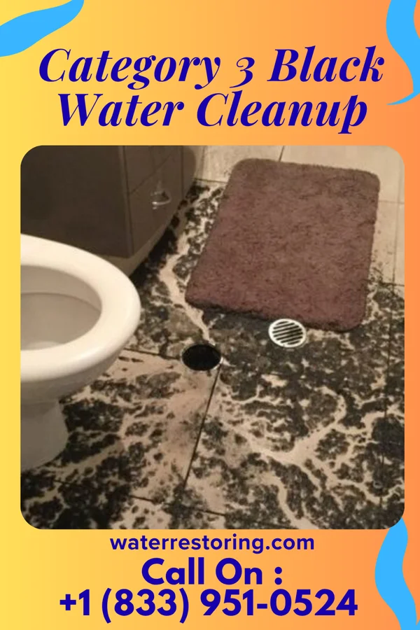 Category 3 Black Water Cleanup in Maxeys, GA