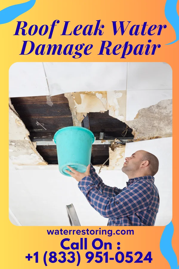Roof Leak Water Damage Repair in Maxeys, GA