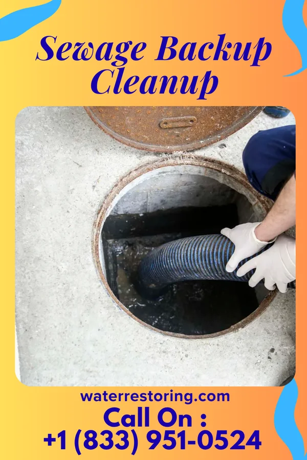 Sewage Backup Cleanup in Maxeys, GA